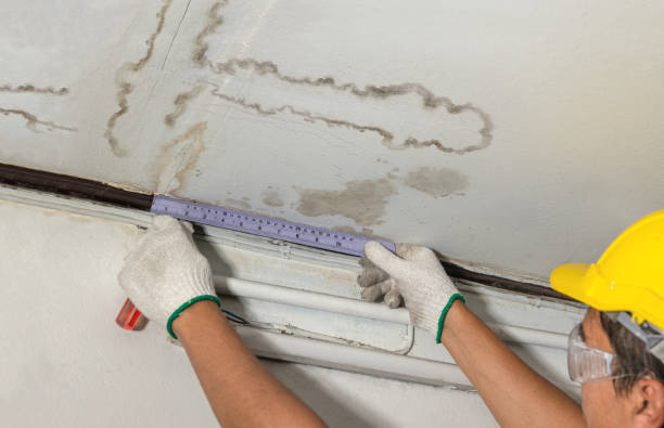 Reliable Basement Water Removal contractor in Wilkeson, WA by Water Damage Irwin